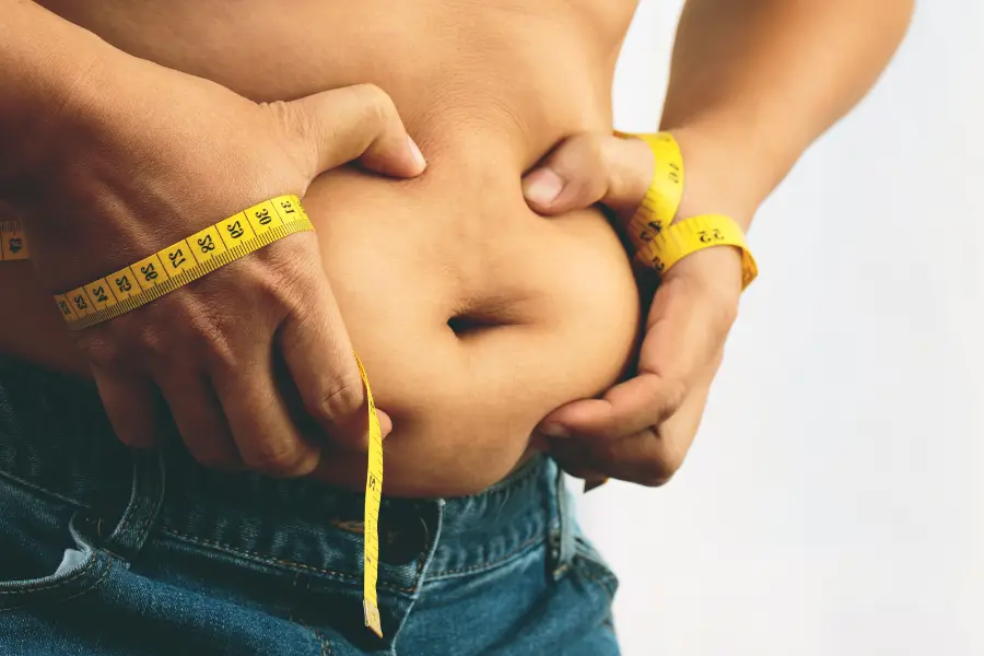 Understanding Fat: Beyond the Basics and Into Modern Solutions